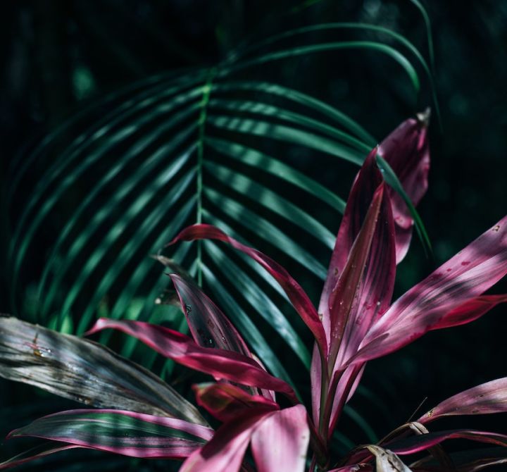 Top Things to do in Coconut Grove, FL - 1. Vizcaya Museum and Gardens